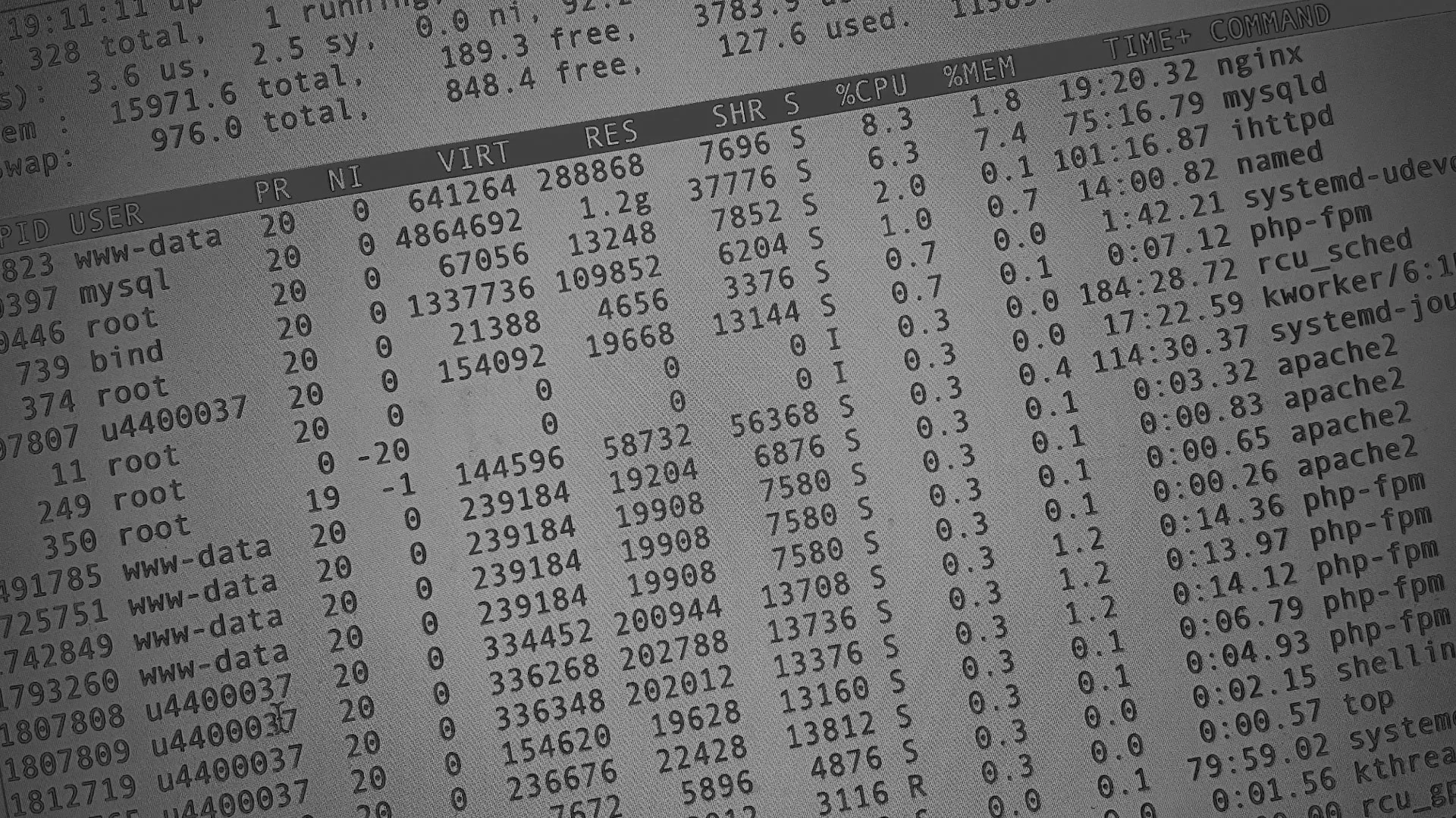 Настройка сервера в Екатеринбурге