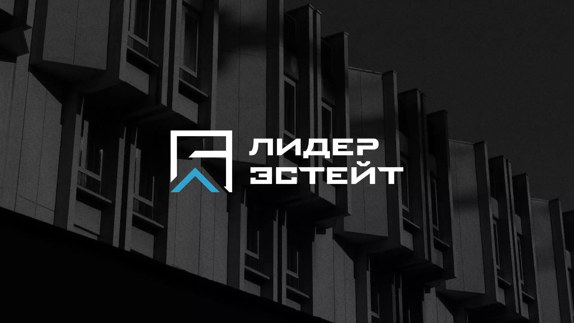 Разработка логотипа агентства недвижимости «Лидер Эстейт» в Екатеринбурге